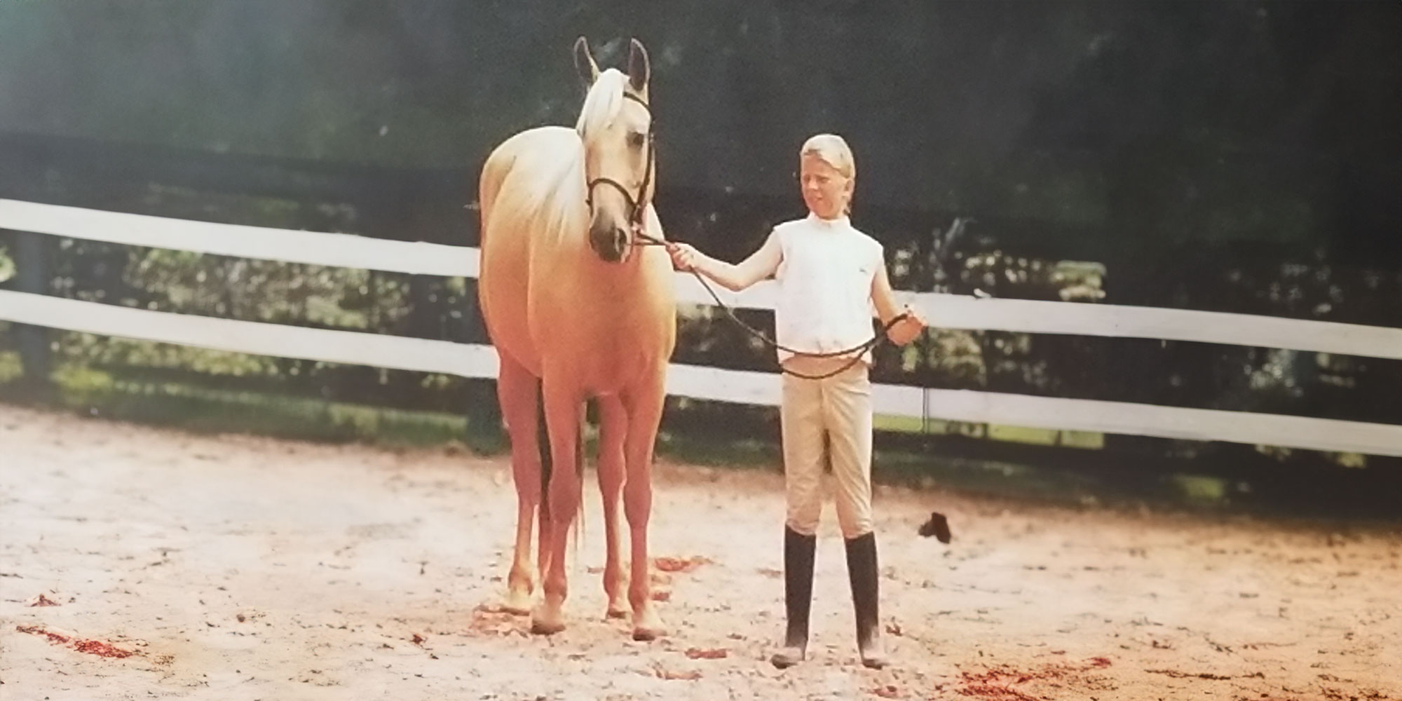 Embark on a heartfelt journey through the highs and lows of adopting and caring for wild mustangs. From the anticipation of choosing the perfect horse to the challenges of finding a home and meeting legal requirements, this story weaves through the emotional landscape of equine love and commitment.