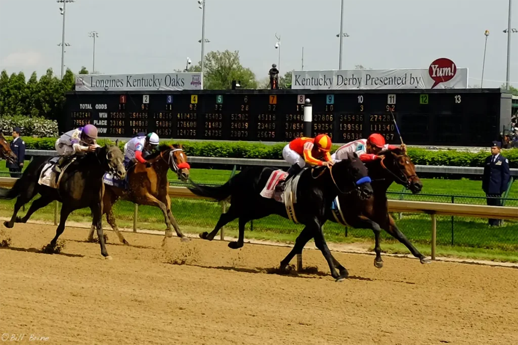 Kentucky Derby: Run for the Roses®