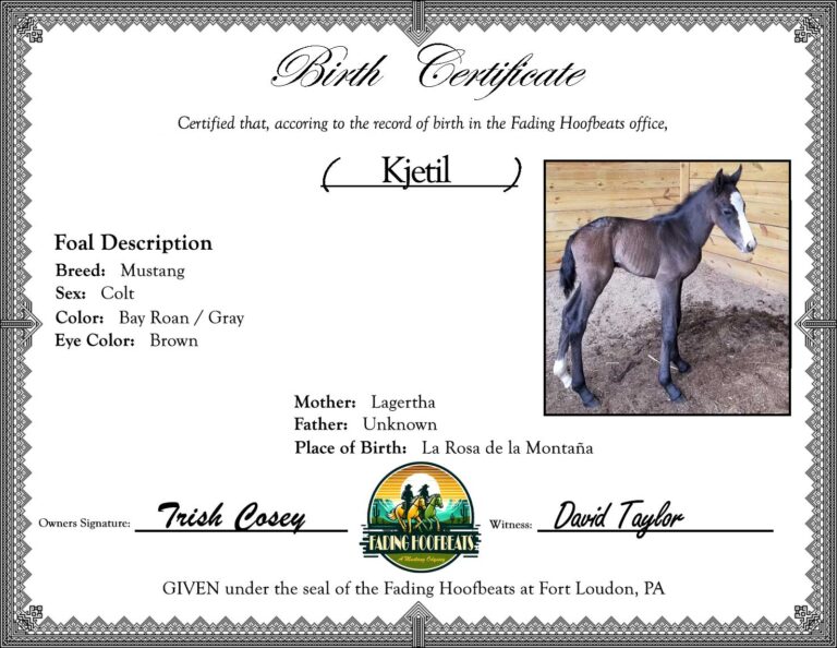 Lagertha’s Surprise: A Mustang Mare’s Journey to Motherhood