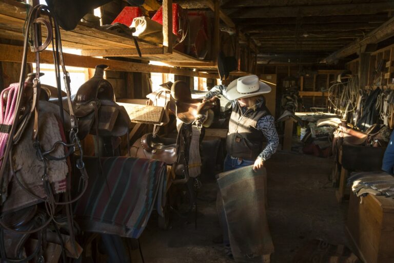 Saddle Fit Considerations