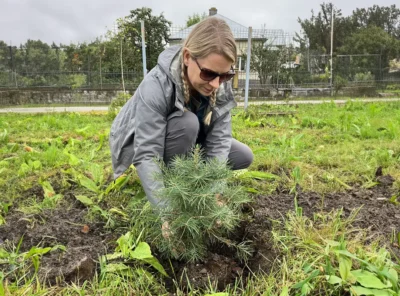 Roots Along the Quiet Miles