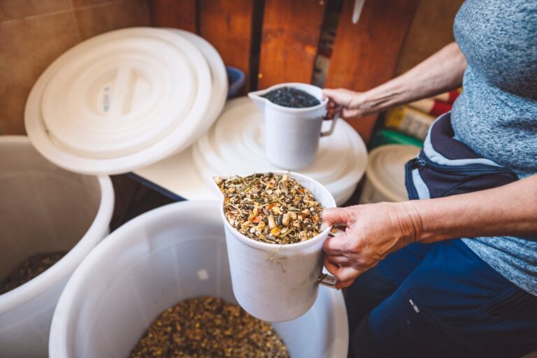 Horse Feed Contamination with Ionophores: A Critical Health Hazard