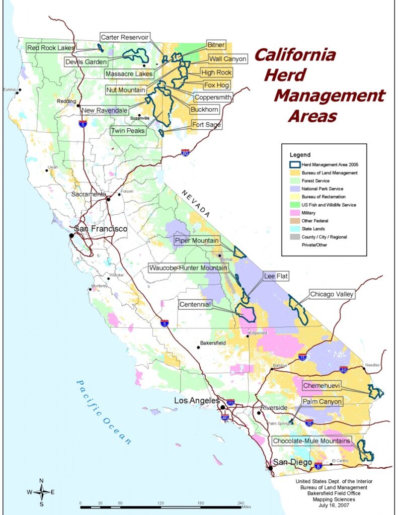 Map of California showing the general location of BLM wild horse and burro Herd Management Areas.