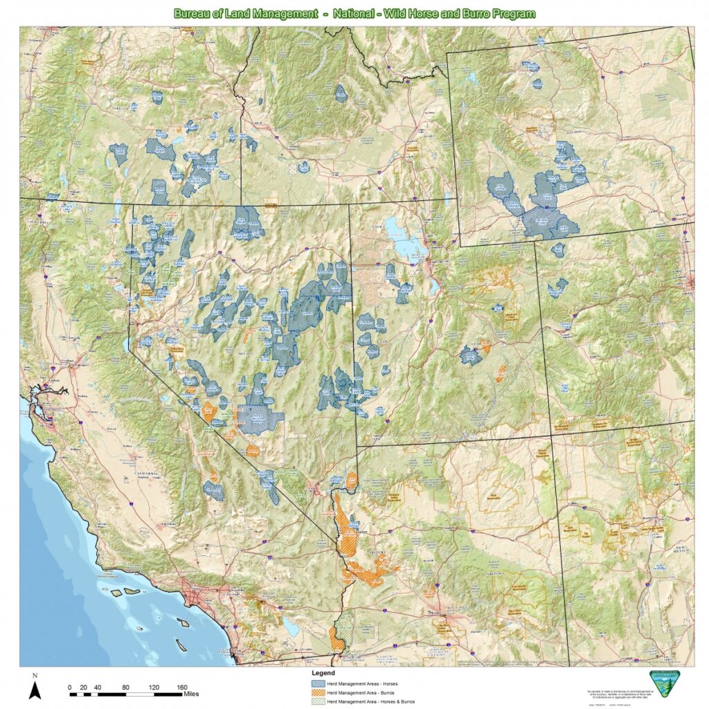 Map for the Colorado Wild Horse & Burro Guide showing BLM wild horse and burro Herd Management Areas across the western United States, including four wild horse HMAs in western Colorado.